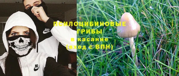 гидропоника Алексеевка