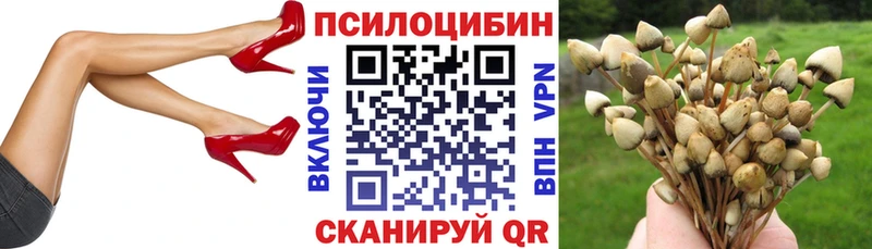Псилоцибиновые грибы Psilocybe  Красноярск 
